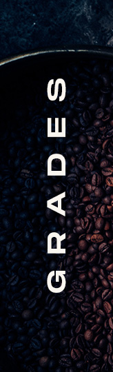 Nairobi Coffee Exchange